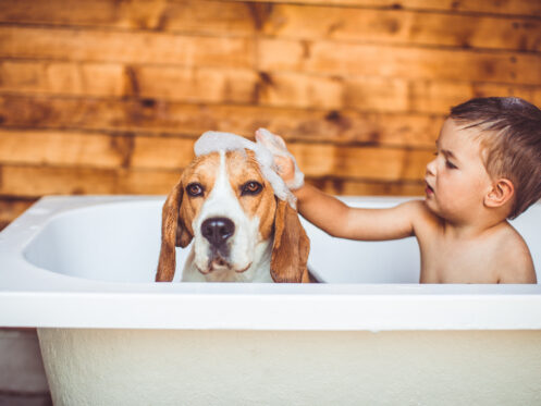 A boy and his dog taking a bath together
